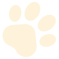 paw decor 1